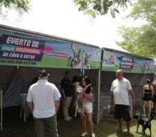 Projeto ‘Baby, me Leva!’ garante adoção de 14 cães e gatos em ação no Parque Max Feffer