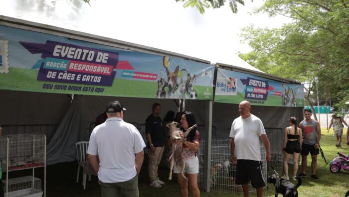 Projeto ‘Baby, me Leva!’ garante adoção de 14 cães e gatos em ação no Parque Max Feffer