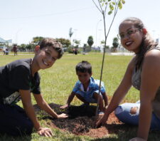 Meio Ambiente abre inscrições para novo mutirão de plantio de árvores