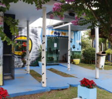 PlayPet soma 196 novas carteirinhas em 2025 e mantém espaço ativo para cães