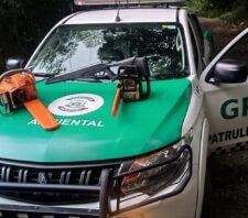 GPA flagra desmatamento ilegal e queima de vegetação em área de preservação na Vila Barros