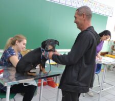 Segundo evento de castração do ano atende 130 animais em Palmeiras