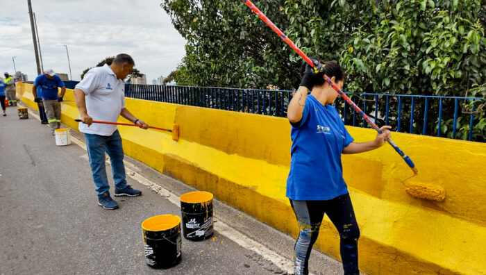 Viaduto Ryu Mizuno será interditado para trabalhos de revitalização