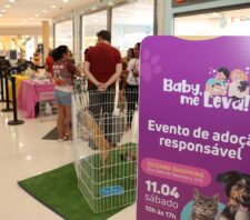 Meio Ambiente viabiliza adoção de 144 cães e gatos pelo ‘Baby, me Leva!’ neste ano