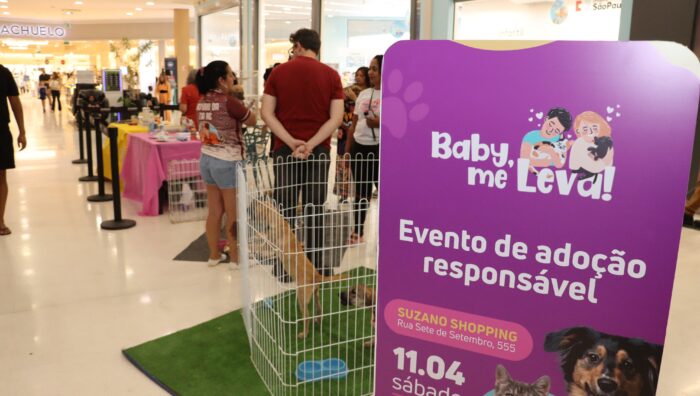 Meio Ambiente viabiliza adoção de 144 cães e gatos pelo ‘Baby, me Leva!’ neste ano