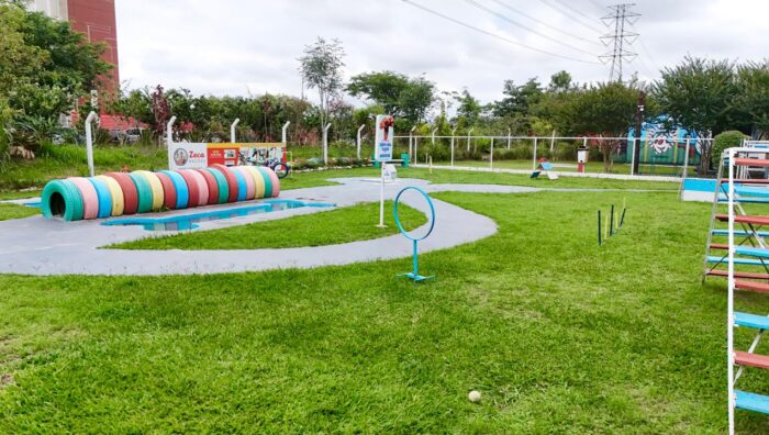 PlayPet completa sete anos de funcionamento com oferta de lazer para cães