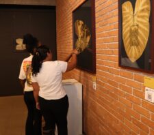 Exposição ‘terra terreno território’ entra em cartaz no Moriconi com visitação até 30 de abril