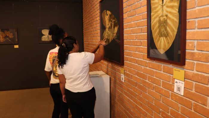 Exposição ‘terra terreno território’ entra em cartaz no Moriconi com visitação até 30 de abril