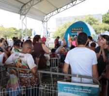 ‘Baby, me Leva!’ possibilita 47 adoções de cães e gatos durante evento no domingo