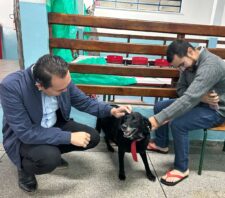 Mutirão de castração atende 180 animais durante nova edição no Jardim Europa