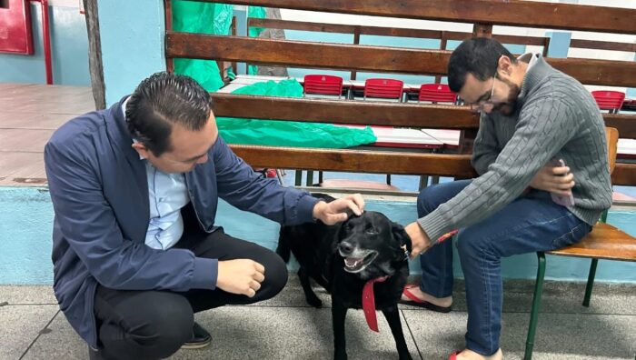 Mutirão de castração atende 180 animais durante nova edição no Jardim Europa