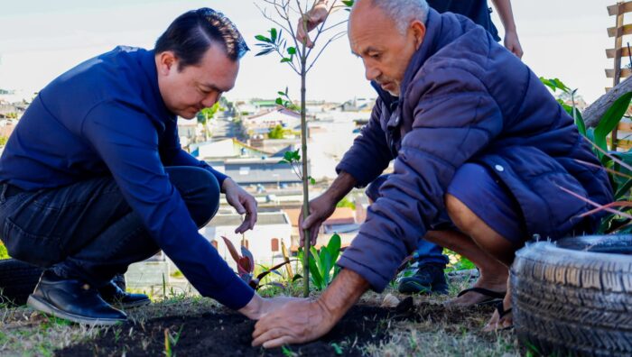 Meio Ambiente realiza plantio de manacás no Jardim Graziela