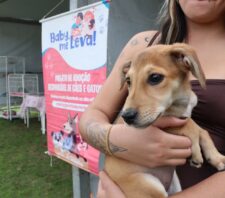 ‘Baby, me Leva!’ possibilita 18 adoções de cães e gatos no último domingo