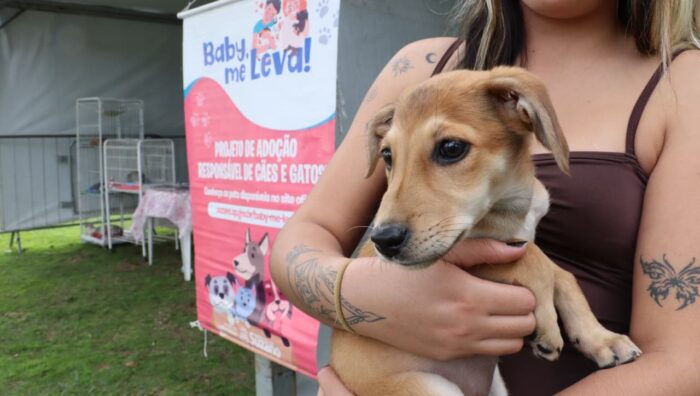 ‘Baby, me Leva!’ possibilita 18 adoções de cães e gatos no último domingo