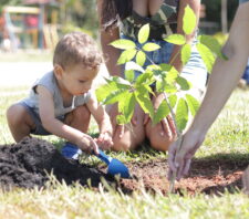 No Mês do Meio Ambiente, Suzano supera marca de 500 árvores plantadas no ano