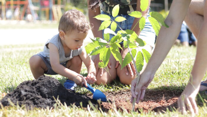 No Mês do Meio Ambiente, Suzano supera marca de 500 árvores plantadas no ano