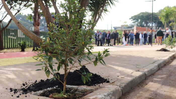 Parceria entre Meio Ambiente e Rotary resulta no plantio de 45 árvores em praça no Colorado