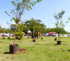 Meio Ambiente registra média mensal de 155 cães e gatos castrados no 1ª semestre