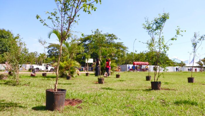 Meio Ambiente registra média mensal de 155 cães e gatos castrados no 1ª semestre